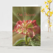 Carte de prière Hydrangea ou toute occasion (Fleur jaune)