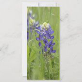 Carte de prière Saint François d'Assise (Dos)