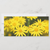 Carte de prière Temps pour tout (Dos)