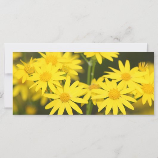 Carte de prière Temps pour tout (Dos)