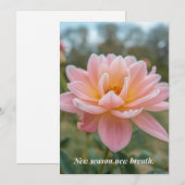 Carte de printemps (Devant / Derrière)