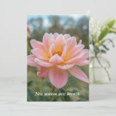 Carte de printemps (Debout devant)