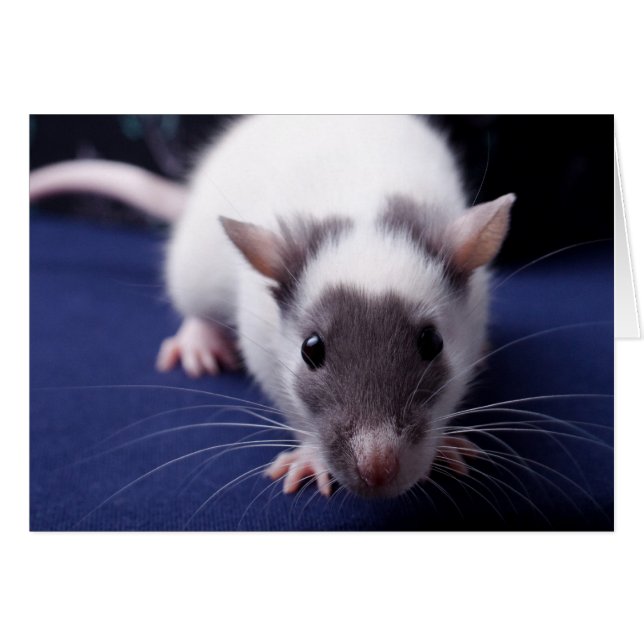 Carte de problème (Devant Horizontal)