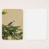 Carte de profil (Devant & derrière)