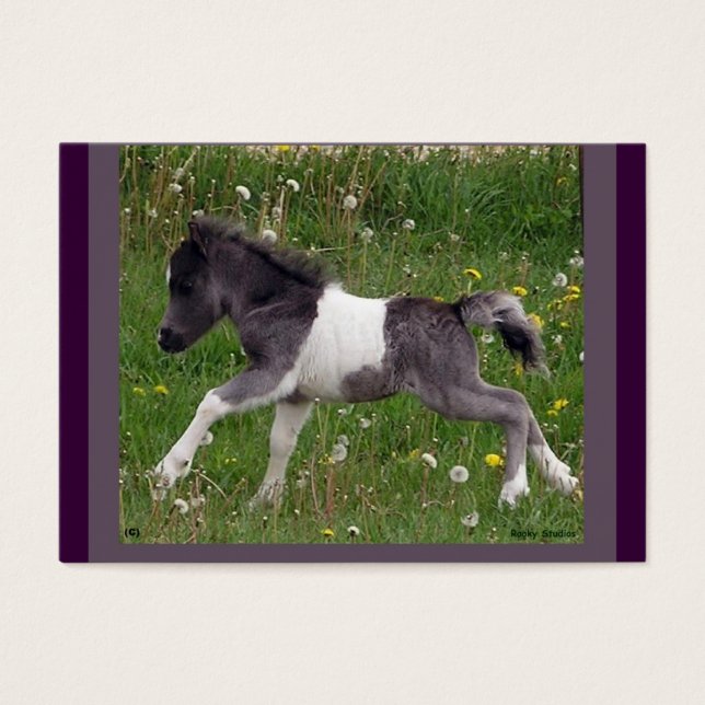 Carte de profil Cheval bébé (Devant)