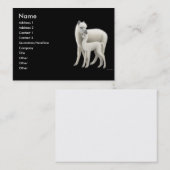 Carte de profil d'alpaga (Devant / Derrière)