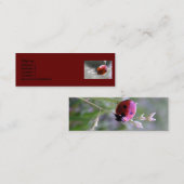 Carte de profil de coccinelle (Devant / Derrière)