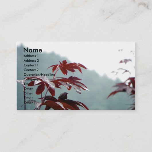 Carte de profil de dialogue d'automne (Devant)