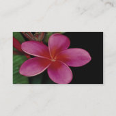 Carte de profil de la Plumeria hawaïenne (Dos)