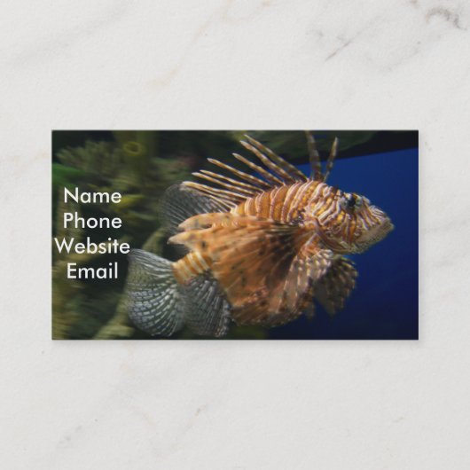 Carte de profil de Lionfish (Devant)