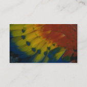 Carte de profil de Natif américain (Dos)