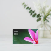 Carte de profil de Plumeria (Debout devant)