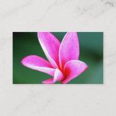 Carte de profil de Plumeria (Dos)