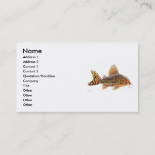 Carte de profil de poisson-chat de Corydoras