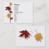 Carte de profil de saison (Devant / Derrière)