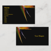 Carte de profil d'oiseaux de paradis (Devant / Derrière)