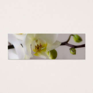 Carte de profil du site Web du Mariage White Orchi