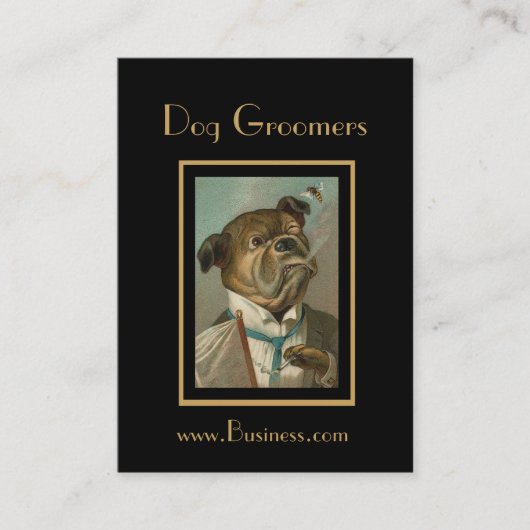 Carte de profil Groomers de chiens Vintages (Devant)