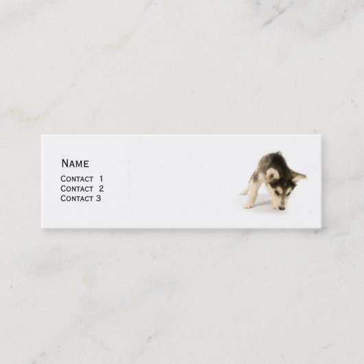 Carte de profil Husky Puppy (Devant)