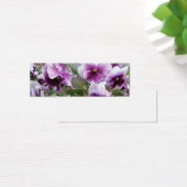 Carte de profil Purple Pansy (Bureau)
