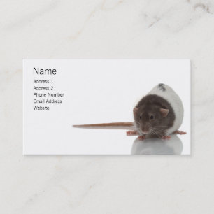 Carte de profil Rat pour animaux