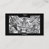 Carte de profil Stay Focus_ (Dos)