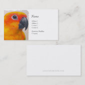 Carte de profil - Sun Conure (Devant / Derrière)