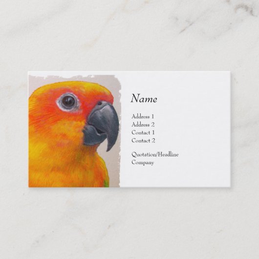 Carte de profil - Sun Conure (Devant)