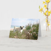 Carte de Pug Beachgrass (Fleur jaune)