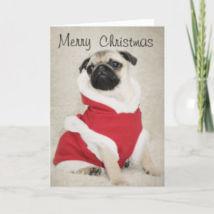Carte de Pug Christmas