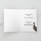 Carte de puits pour le canard confus (Intérieur)