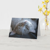 Carte de Purrday de chat (Fleur jaune)