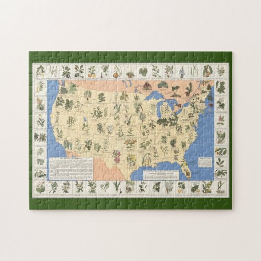 Carte de puzzle de fines herbes de remèdes (Horizontal)