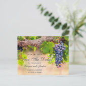 Carte de rappel de date avec raisins sur vigne (Debout devant)