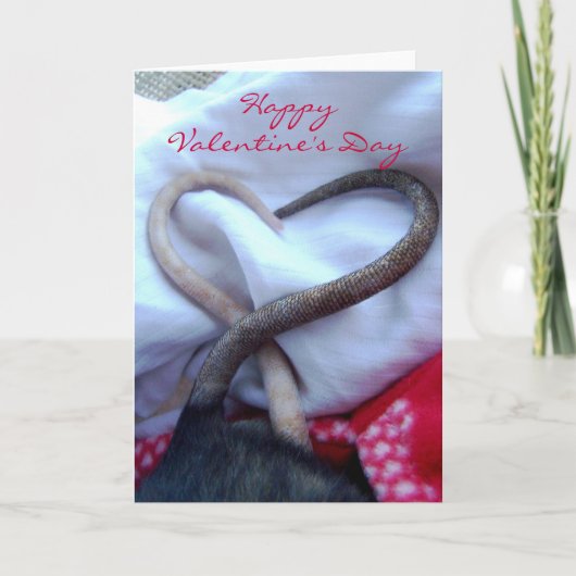 Carte de rat de Saint-Valentin (Devant)
