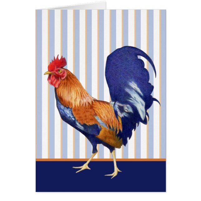 Carte de rayures de coq (Devant)