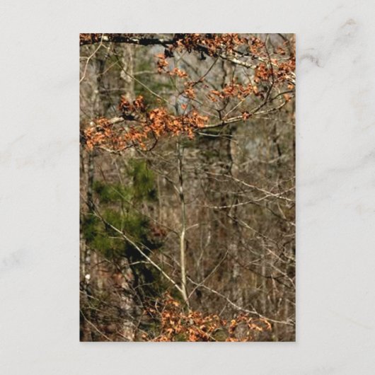 Carte de réception 3,5x7 Couple de cerfs Camouflag (Dos)