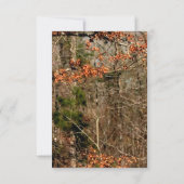 Carte de réception 3,5x7 Tête de cerf chasse camou (Dos)