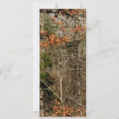 Carte de réception 4x9 Couple de cerfs Camo (Dos)