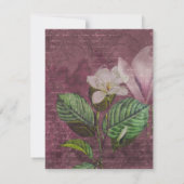 Carte de réception de chanson Magnolia (Dos)