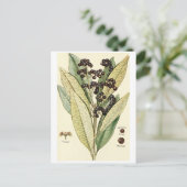 Carte de recette au poivre vintage (Debout devant)