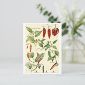 Carte de recette de carte postale vintage (Debout devant)