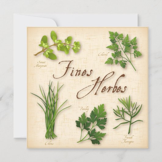 Carte de recette Fines Herbs (Devant)