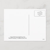 Carte de recette Martini Proposition de Saint Vale (Dos)