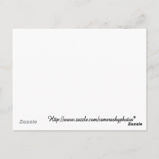 carte de recettes délicieuse (Dos)