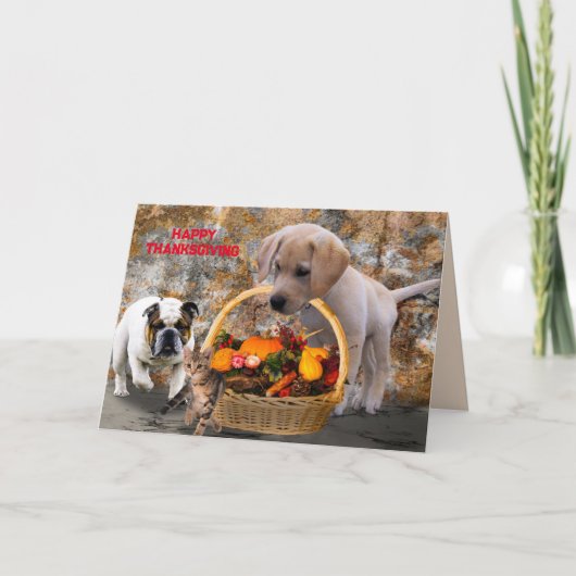 CARTE DE RÉCOLTE POUR ANIMAUX (Devant)