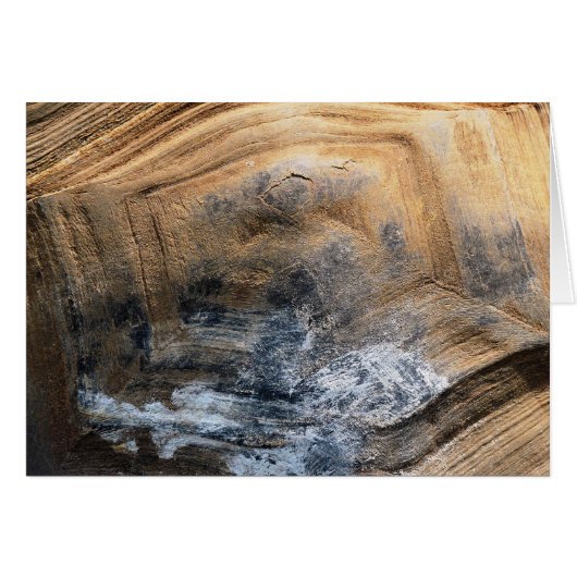 CARTE DE RÉCRÉTISSATION DE TORTOISE GIANT (Devant horizontal)