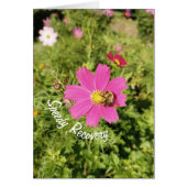 Carte de récupération rapide Vivid rose Cosmos Flo (Devant)