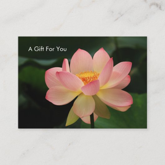 Carte De Réduction Chèque-cadeau de thérapeute de massage de fleur de (Devant)
