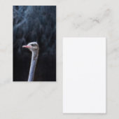 Carte De Réduction portrait d'autruche (Devant / Derrière)